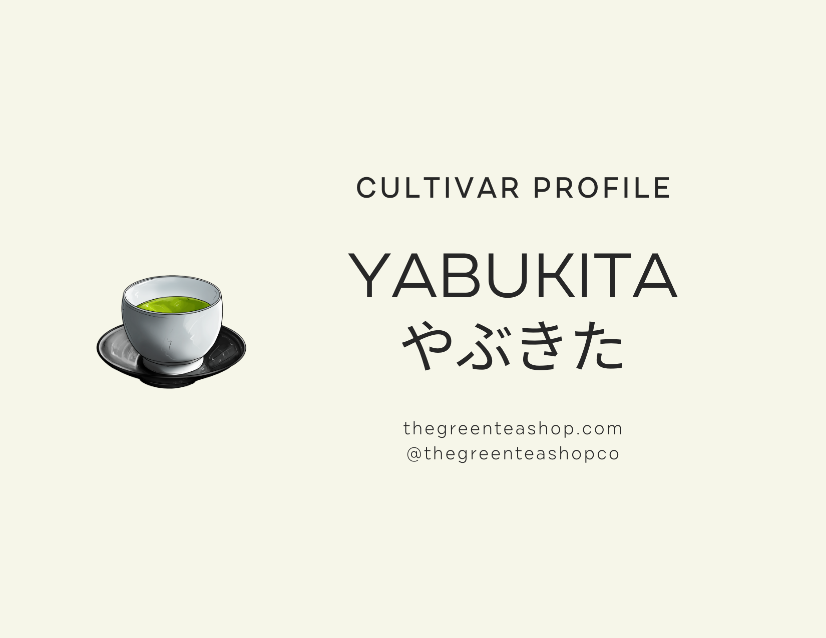 Tea Cultivar Profile: Yabukita