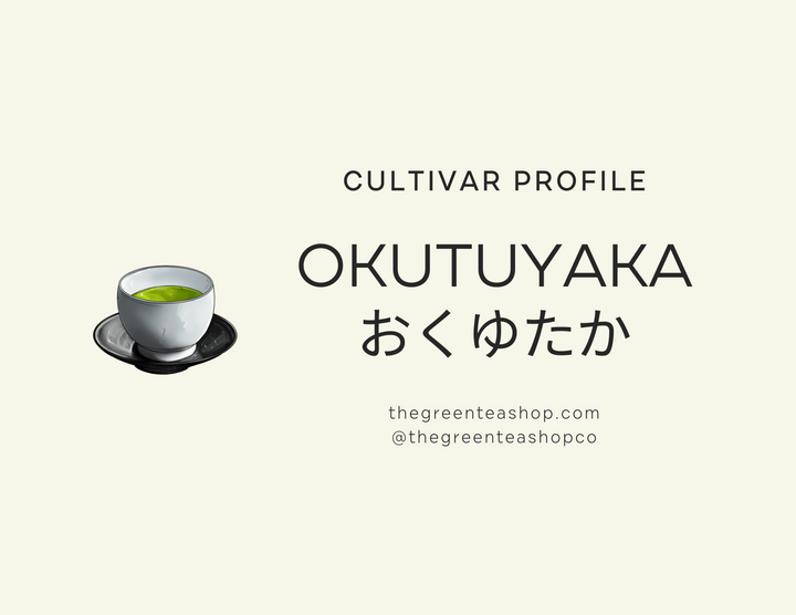 Tea Cultivar Profile: Okuyutaka